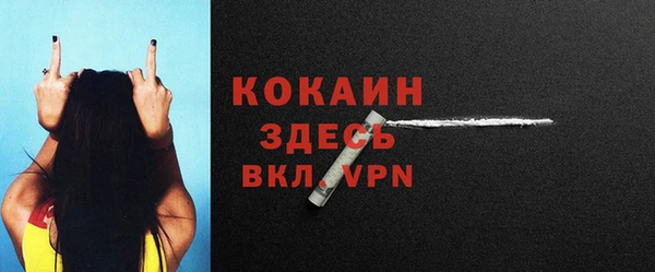 твердый Бородино