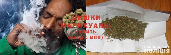 твердый Бородино