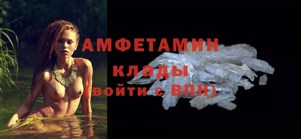 твердый Бородино