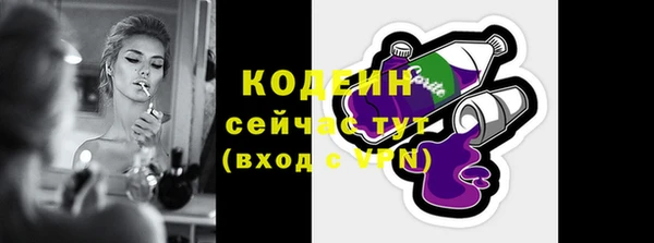 твердый Бородино