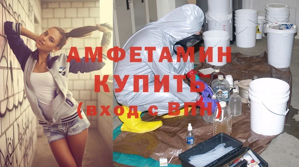 твердый Бородино