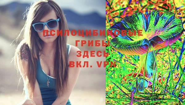 круглые Бронницы