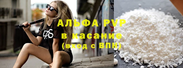 твердый Бородино
