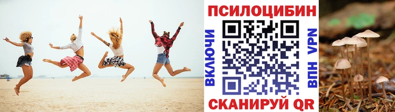 Галлюциногенные грибы GOLDEN TEACHER Купить закладки Люберцы